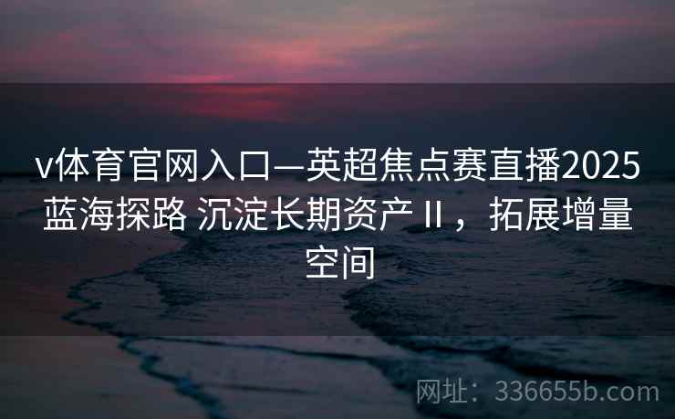 v体育官网入口—英超焦点赛直播2025蓝海探路 沉淀长期资产Ⅱ，拓展增量空间