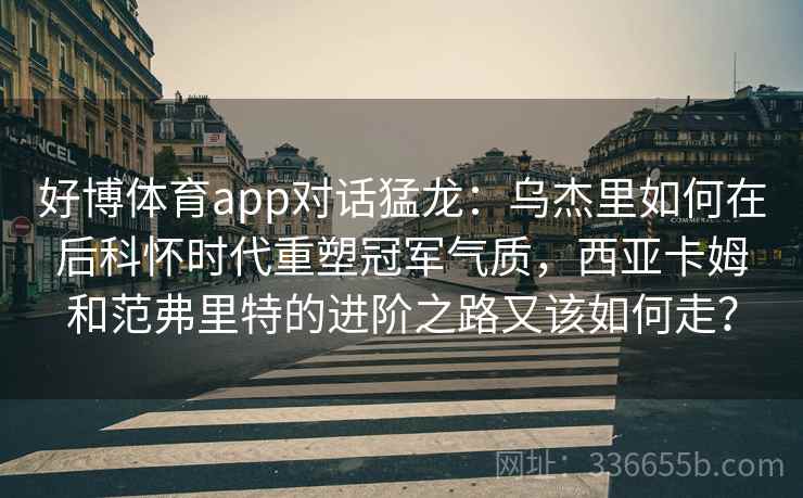好博体育app对话猛龙：乌杰里如何在后科怀时代重塑冠军气质，西亚卡姆和范弗里特的进阶之路又该如何走？