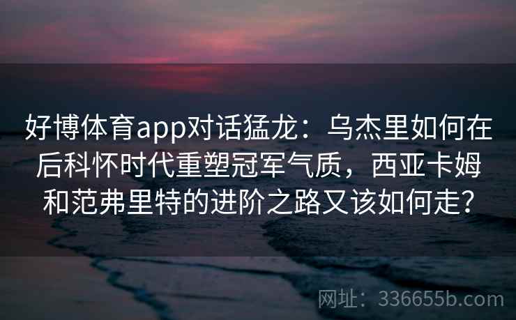 好博体育app对话猛龙：乌杰里如何在后科怀时代重塑冠军气质，西亚卡姆和范弗里特的进阶之路又该如何走？
